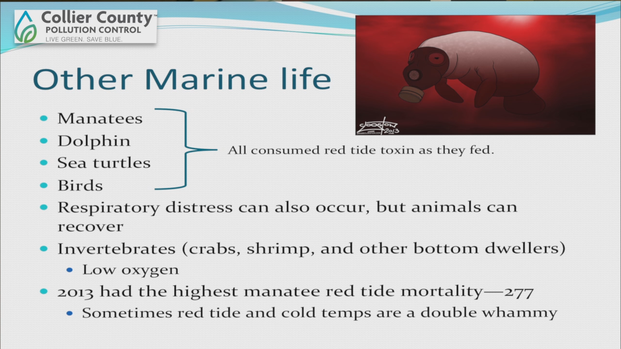 Red Tide Facts and Myths